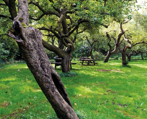 Recreatiegebied Spaarnwoude. Natuur in overvloed