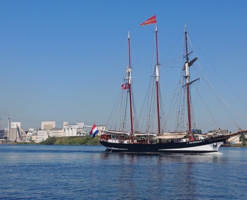 Sail in NOS IJmuiden
