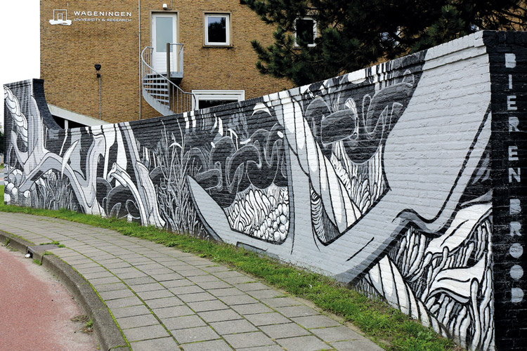 Street art IJmuiden