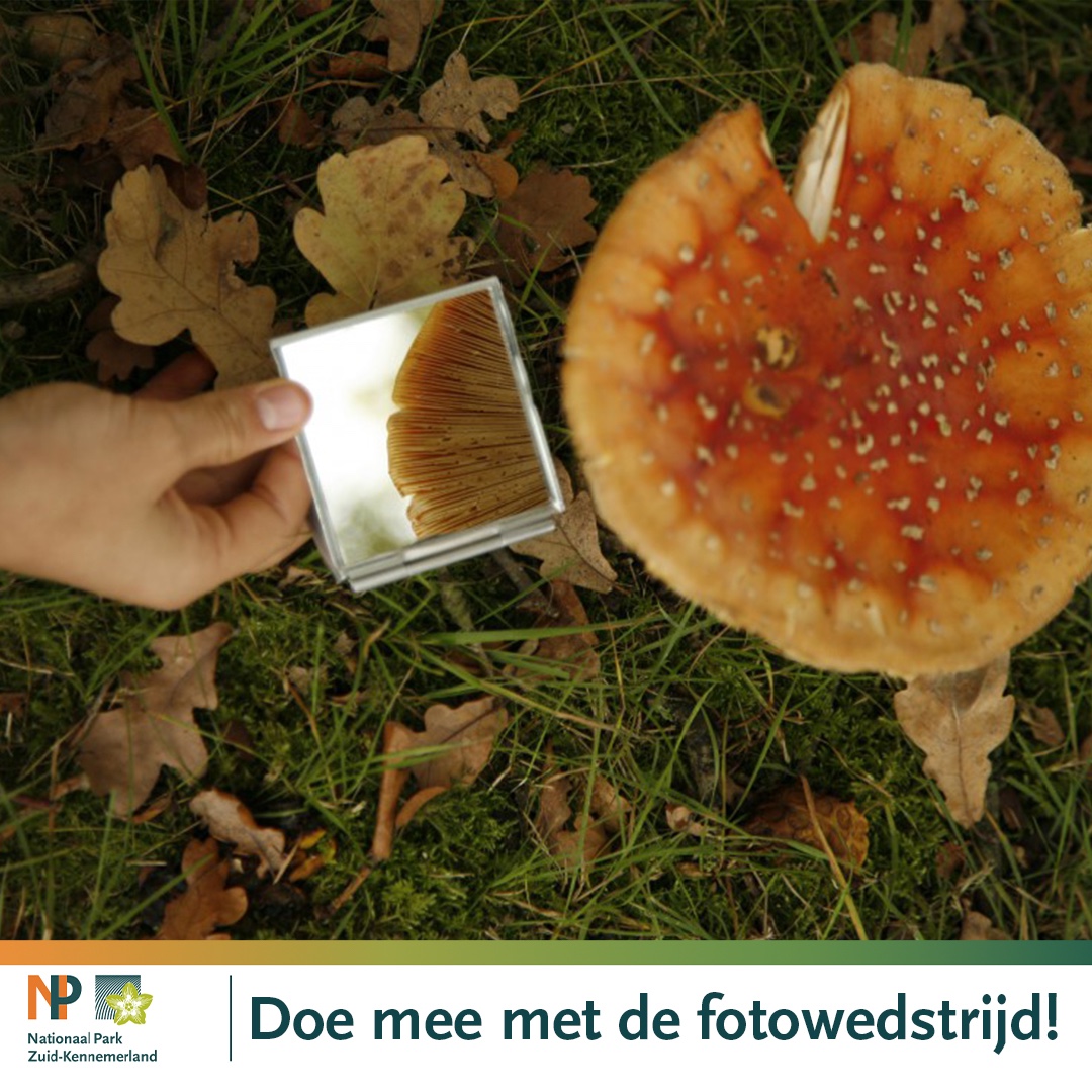 Fotowedstrijd Beleefweek NP Zuid-Kennemerland